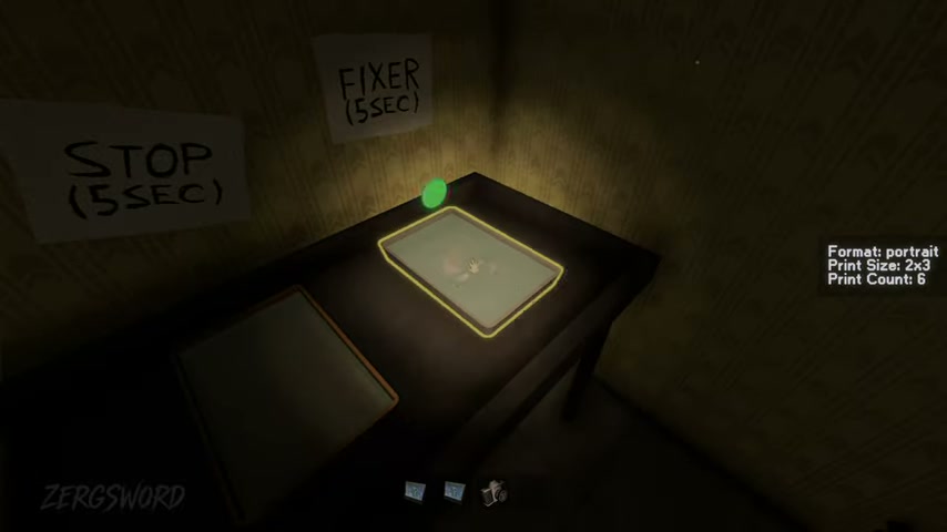 Third-party gameplay reference frame of Photomaly darkroom trays and a film order overlay.