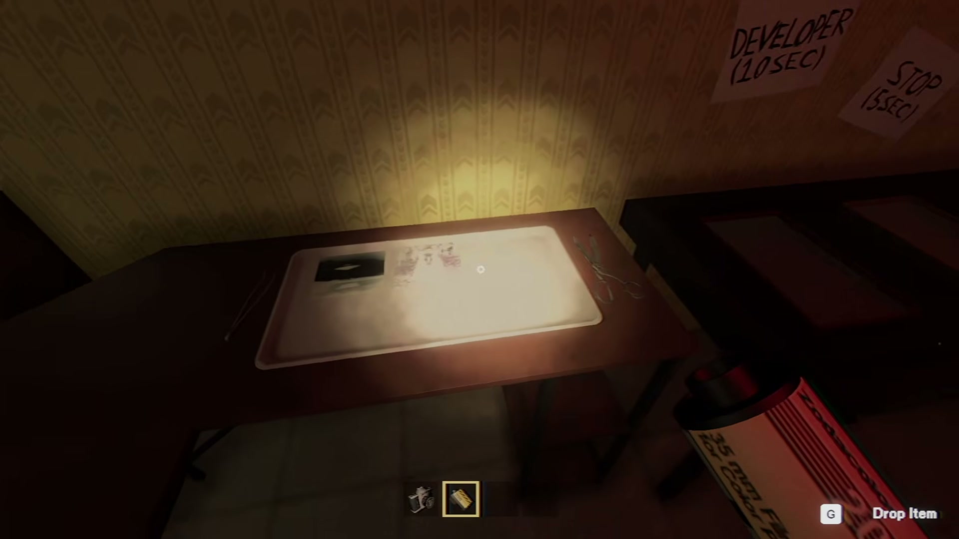 Photomaly gameplay reference frame of a red-lit darkroom with trays labelled Developer 10 sec, Stop 5 sec, and Fixer 5 sec.